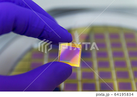 Hand in blue color glove holding microchip photo 64195834