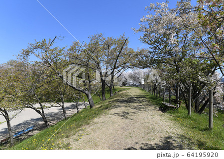 黒野城址土塁の写真素材