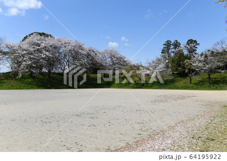 黒野城址本丸内側 64195922