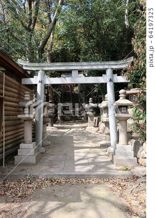 若宮八幡宮 64197325