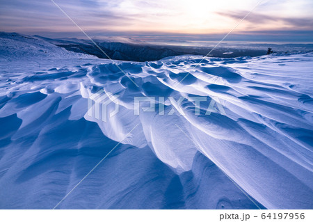 《北海道》極寒の旭岳・雪の造形美 64197956