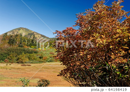 妙高連峰・高谷池の紅葉と火打山山頂 64198419