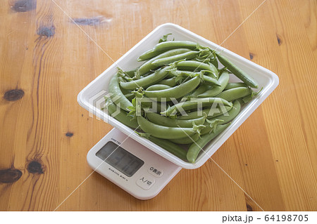 スナップエンドウ計量 スナップエンドウ計量 64198705