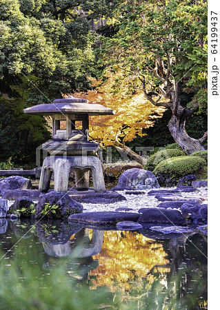 （東京都）秋の旧古河庭園　日本庭園 64199437