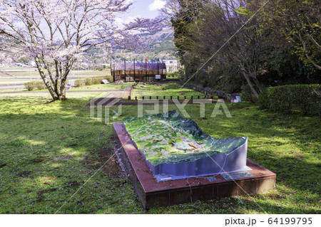 【静岡県】桜の咲いた丹那断層公園、地形模型 【静岡県】桜の咲いた丹那断層公園、地形模型 64199795