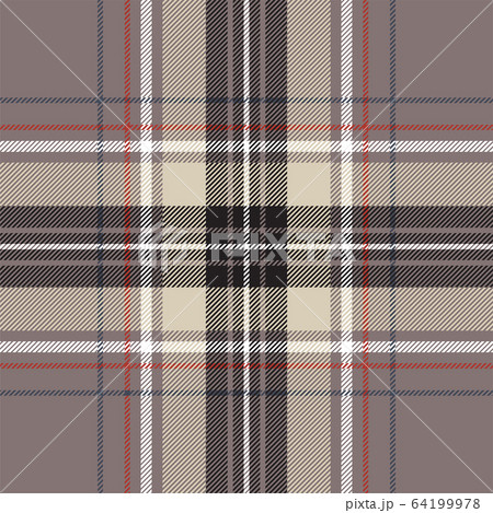 Red blue tartan fabric texture seamless pattern. 64199978