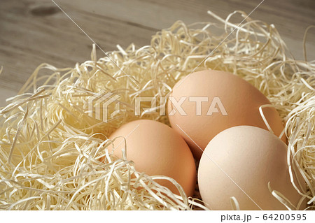 egg 卵 64200595