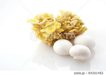 きのこ２種 64201462