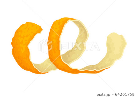 Thin Mandarin Skin Twisted in Spiral Shape Isolated on White Background Vector Illustration 64201759