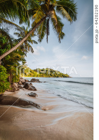 Mahe Island, Seychelles. Holiday vocation on the beautiful Anse intendance tropical beach. Coconut palm trees and ocean waves rolling towards the shore 64202190