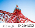 （東京都港区）東京タワーを見上げる 64204832