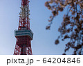 （東京都港区）東京タワーを見上げる 64204846