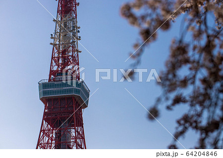 (東京都港区)東京タワーを見上げる (東京都港区)東京タワーを見上げる 64204846