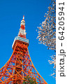 （東京都港区）東京タワーと桜 64205941
