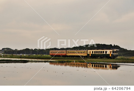 ひたちなか海浜鉄道湊線、中根・金上駅間を走る普通列車（キハ3710形） 64206794