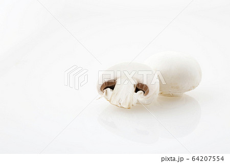 ホワイトマッシュルーム断面 64207554