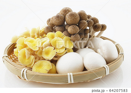 きのこ３種ザル入り 64207583