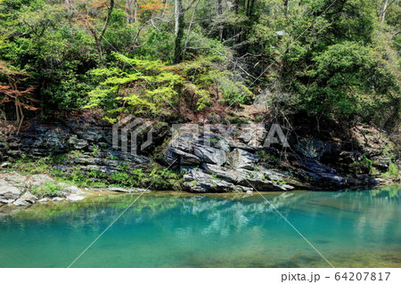 早春の嵐山渓谷 64207817