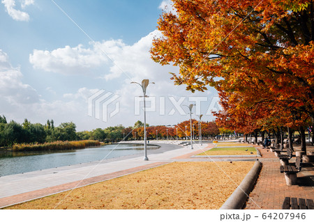 World Cup Park, Pyeonghwa park at autumn in Seoul, Korea World Cup Park, Pyeonghwa park at autumn in Seoul, Korea 64207946