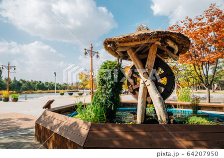 World Cup Park, Pyeonghwa park at autumn in Seoul, Korea 64207950