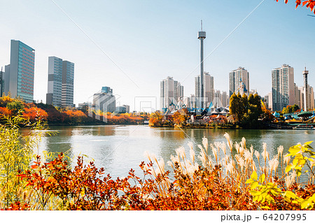 Seokchon lake and modern apartment buildings with autumn maple in Seoul, Korea 64207995