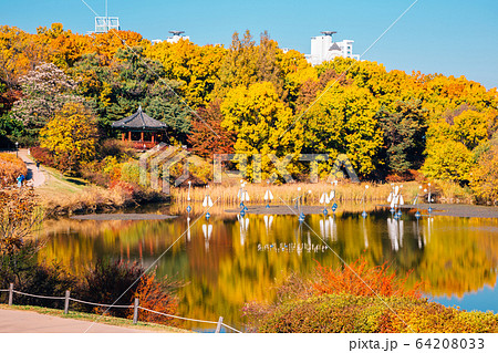 Olympic park, autumn maple and lake in Seoul, Korea Olympic park, autumn maple and lake in Seoul, Korea 64208033