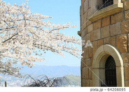 松山総合公園から見た春の風景 松山総合公園から見た春の風景 64208095
