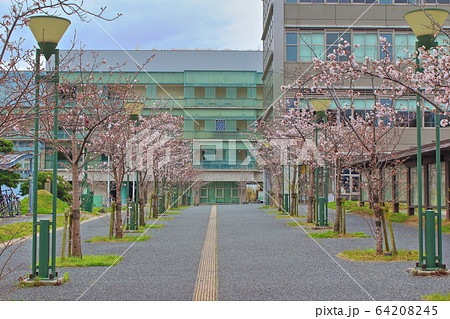 九州大学　伊都キャンパス　センターゾーン 64208245