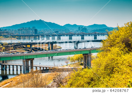 View of Seoul city and Han river with forsythia flower from Eungbongsan mountain 64208767