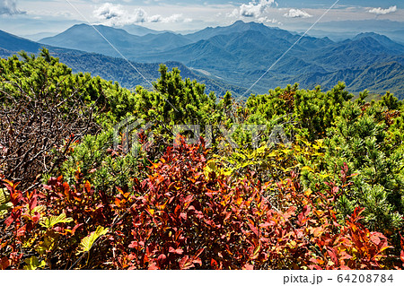 妙高連峰・火打山の紅葉と黒姫山・高妻山の山並み 妙高連峰・火打山の紅葉と黒姫山・高妻山の山並み 64208784