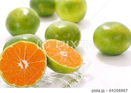 青ミカン 早生ミカン カット 青ミカン 早生ミカン カット 64208967