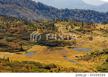 妙高連峰 火打山の登りから見る秋色の天狗の庭の写真素材