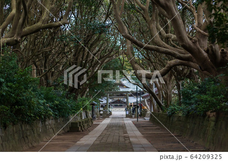 酒列磯前神社 64209325