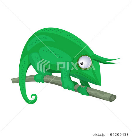 Green Chameleon Sitting On The Branch On Whiteのイラスト素材