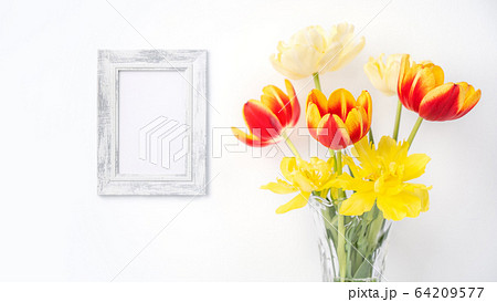 背景 バックグラウンド バックグランド 64209577