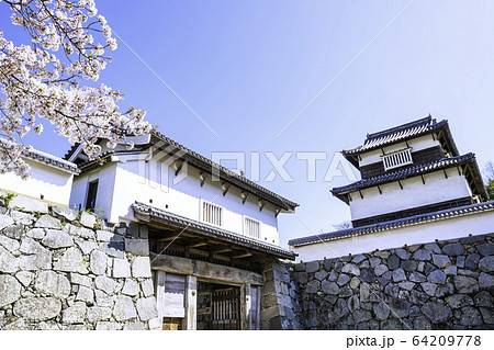 福岡城跡　下之橋御門と潮見櫓 64209778