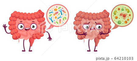Intestinal microflora. Digestive system care, intestinal bacterias and probiotics cartoon vector illustration 64210103