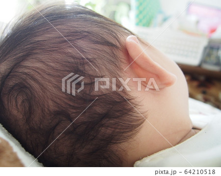赤ちゃんの頭 後頭部の写真素材