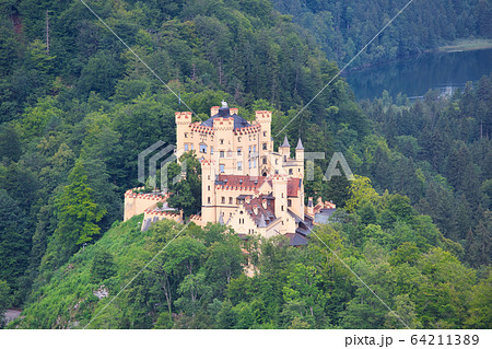 ホーエンシュヴァンガウ城 64211389