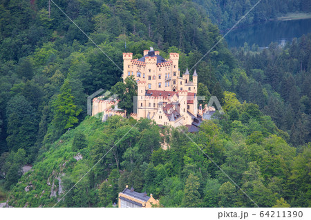 ホーエンシュヴァンガウ城 64211390