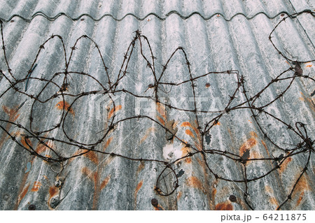 Barbed wire on roof, crime prevention 64211875
