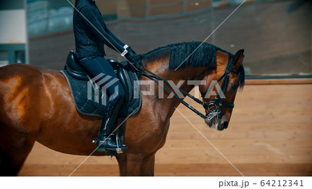 A woman in black clothes riding a brown horse on the hippodrome indoors 64212341