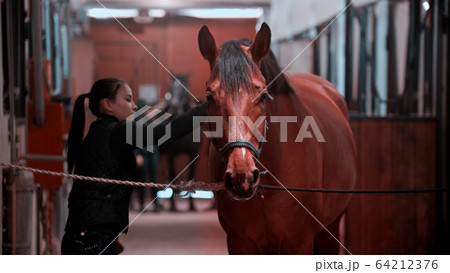 Riding a horse - young woman is combing her nite horse 64212376