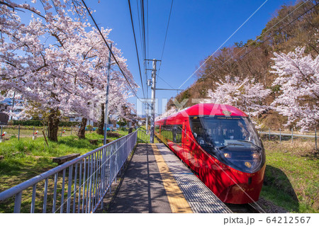 桜並木を疾走する富士急行 64212567