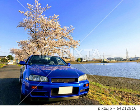 スカイラインGTRと桜 スカイラインGTRと桜 64212916