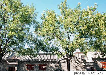 Dongcheng Yonghegong street, Chinese old street Hutong in Beijing, China Dongcheng Yonghegong street, Chinese old street Hutong in Beijing, China 64213747