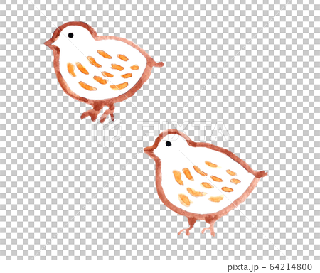 雷鳥Hina家庭 64214800