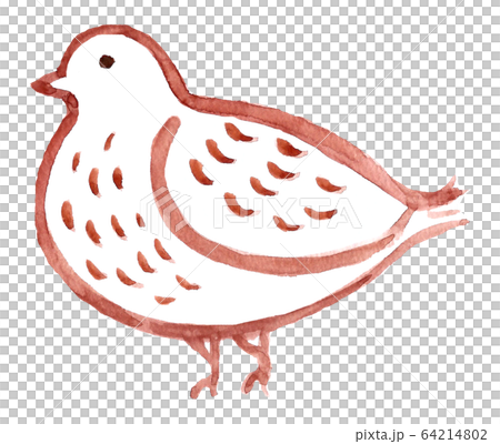 Thunder bird 64214802