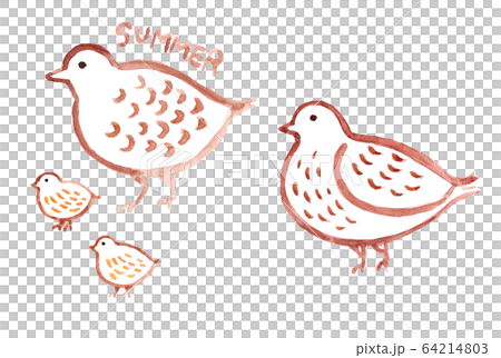 雷鳥,父母和孩子,家庭 雷鳥,父母和孩子,家庭 64214803