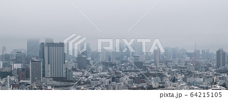 日本の東京都市景観　新型肺炎　凍てつく都心（渋谷や六本木）＝29日（感染爆発、…32年ぶりの積雪） 64215105